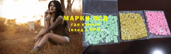 крисы Алексин