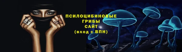 мдпв Нея