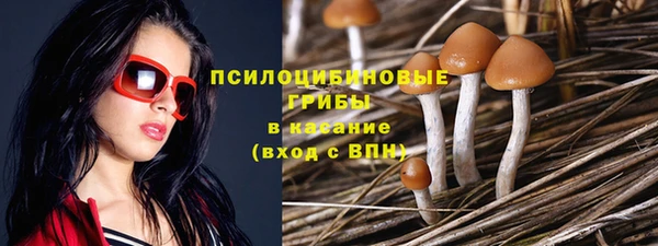 spice Алзамай