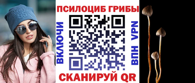 Галлюциногенные грибы Psilocybine cubensis  OMG рабочий сайт  Яхрома 